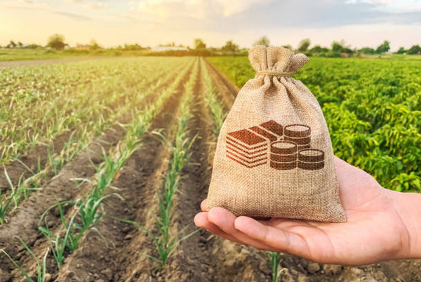 Sustainable Gardening Practices embracing methods blog